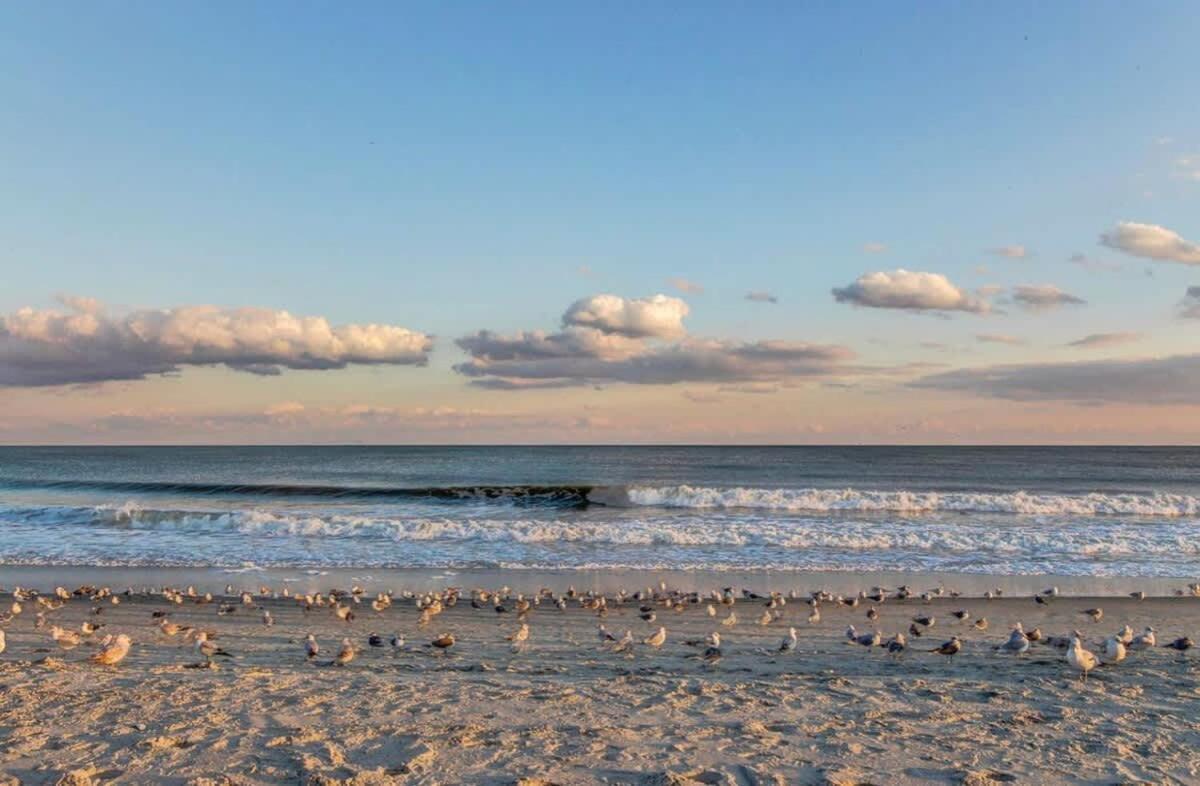 *Oceanfront Retreat*King Bed *Great Pools, Hot Tubs+++*O41 Villa Myrtle Beach Kültér fotó